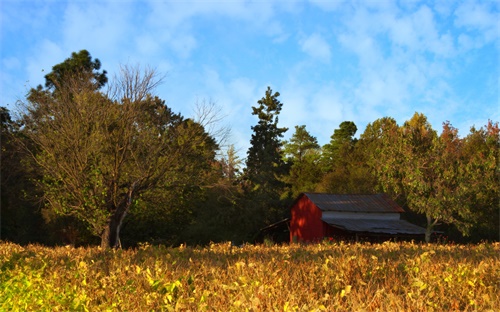 平洲玉器街怎么去,广州地铁到佛山平洲玉器街怎么去